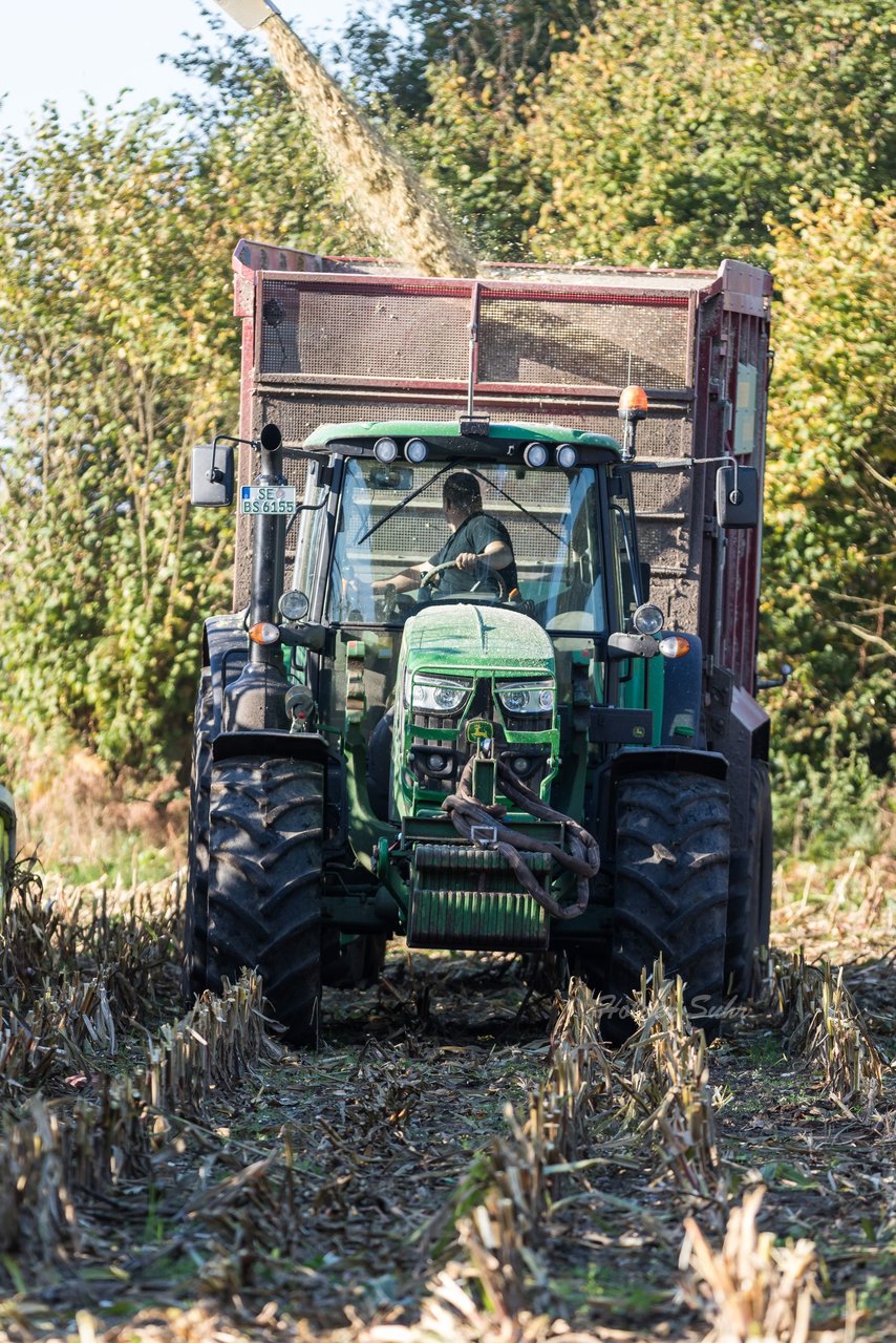 Bild 111 - Maisernte